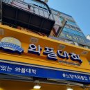 와플대학분당서현로데오캠퍼스