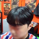홀맨즈헤어