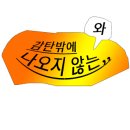 플로리다 봉봉 이미지