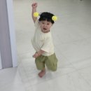 이한농장 | 원주 매지밀 딸기농장 방문후기 아이랑 가기 좋은 딸기농장