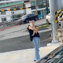 댕댕플래닛 이미지