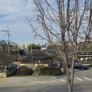 성주 예산리 배리댁 이미지