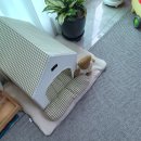 레토하우스(LETO HOUSE) | 가성비 좋은 2만원대 강아지 하우스 / 레토 강아지 텐트