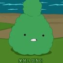 개이득