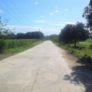 정보농장 이미지