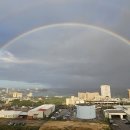 돌고래리조트 이미지