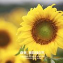 용소마을영농조합법인 이미지