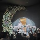 잭팟세븐 | 마틴드세븐 어벤저스 ❤️ 문채영부원장님 + 성연이모님 +히엘