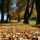 청담행정사사무소 이미지