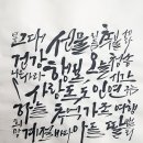 세라캘리 이미지