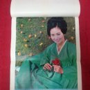 1968년달력(태현실,김지미,문희,고은아등~~~ 이미지