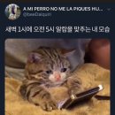 21세기카랜드 | 우주에서 가장 근사한 리듬으로 부탁해요
