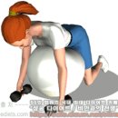 피트볼 리어 델트 로우 (Fitball Rear Delt Row) 이미지