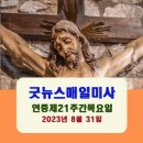 굿뉴스42 이미지