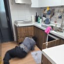 LG 디오스 오브제컬렉션 식기세척기 설치 및 사용 후기!(DUE6BGL3E)