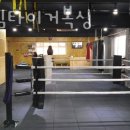 화서 팀타이거복싱 이미지