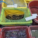 민물건강원 이미지