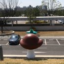 별송이 이미지