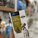 야옹아멍멍해봐 리딩샵 이미지