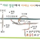 제82회 2010년 송년회 칠보산 산행 이미지