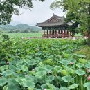 웰빙버섯
