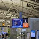 주식회사 마이마트 | (2025) 마쓰야마 여행 1일차 • 마쓰야마성