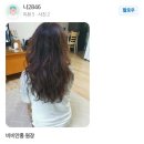 비비안홍 네이버블로그
