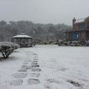 골든힐폼 이미지