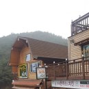 치킨호프숲속애 이미지