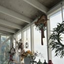 드레네 집 | 인천] 강화도 독채펜션 드레네집(자쿠지&amp;카라반)