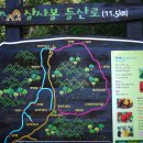 신덕면사무소 이미지