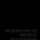 Jacqueline Daum카페