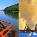 현모농장 이미지