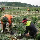 국군함평병원 이미지