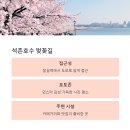 서울 근교 봄소풍 추천지 BEST 5, 연인과 함께라면 더 좋아요
