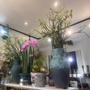 (전)J.my flower | [경산꽃집] 힐링이 필요한 날 찾게 되는 경산꽃가게 ‘제이마이플라워(J my flower &amp; Deco)경산’