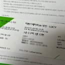 광일여관 | 230107-0108 어썸스테이지 in 부산 (하현상, 루시) 후기 / 를 빙자한 부산여행기