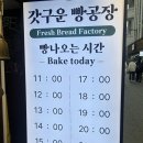 갓구운빵