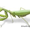 구지신 | 모터그레이더기능사/중장비자격증/(큐넷/산업인력공단)