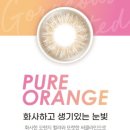 네오안경콘텍트 이미지