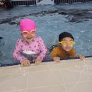 생존수영실습교육 - 두번째~! 이미지