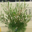 하은농원 이미지