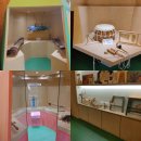 창원 목재문화체험장 이미지