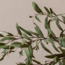 최강파르세나공인중개사사무소 이미지