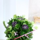 원효당한의원 이미지