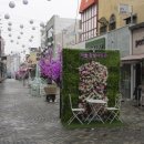 맘스터치 제천점 이미지