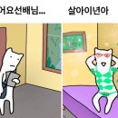 재연목장 네이버블로그