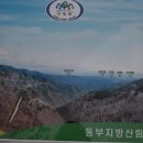 대관령가는길 이미지