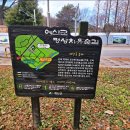 덕산온천관광단지 | 국내 힐링 여행 충남 예산 가볼만한곳 치유의숲 메타세콰이어길 덕산 온천 족욕장