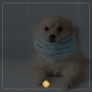 녹양돌봄동물병원 이미지